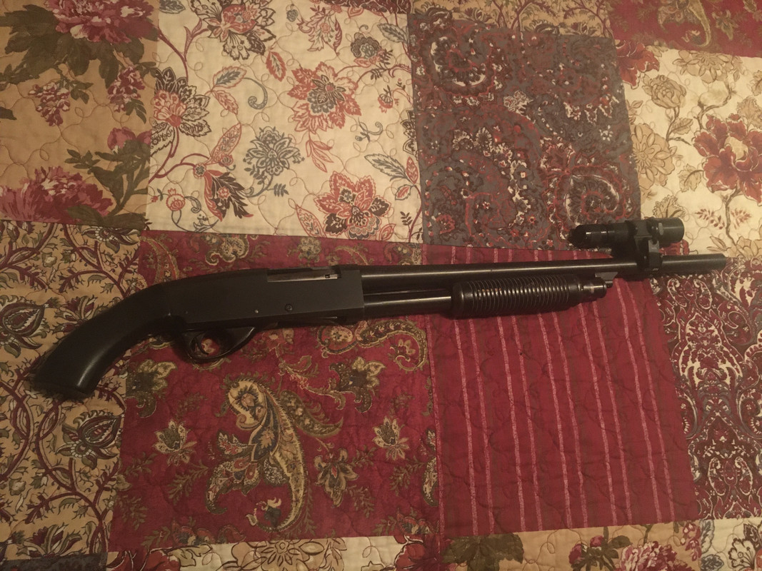 096F72FF-4D1D-4064-BF2F-71E8F125755A