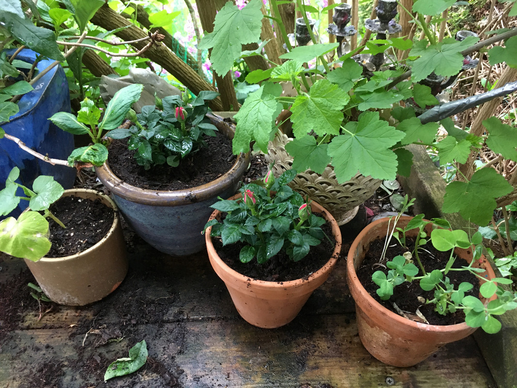 9B04BE04-2EBD-46C4-A25B-0D65A42411D9