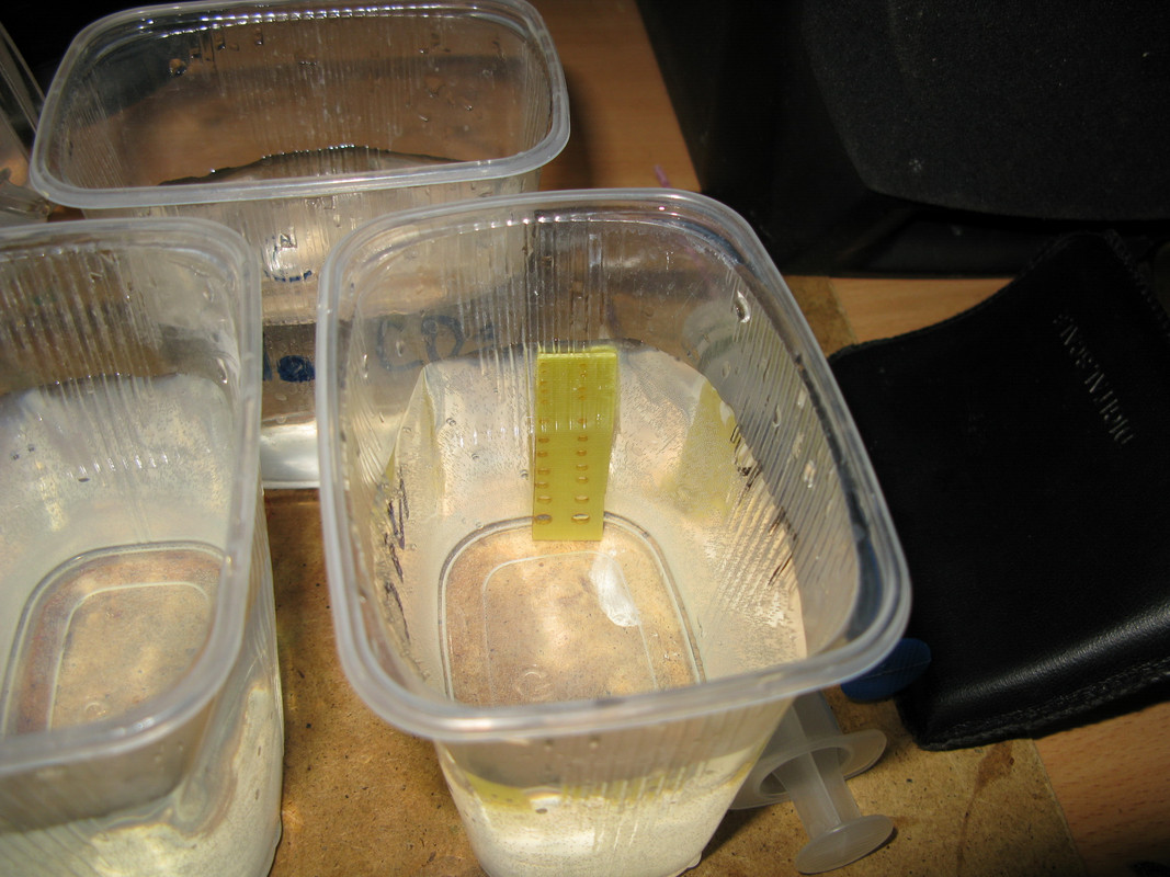 IMG_8020_новый размер