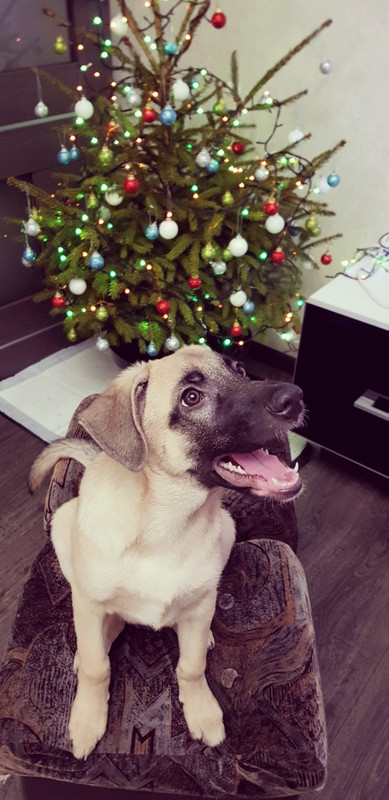 C728C367-C75D-4CE3-BECD-A1325A84CECC