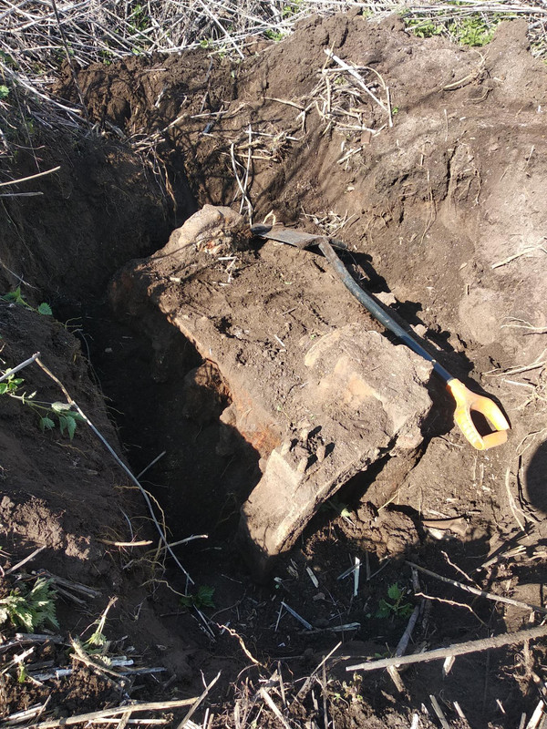 изображение_viber_2022-05-03_17-09-37-540