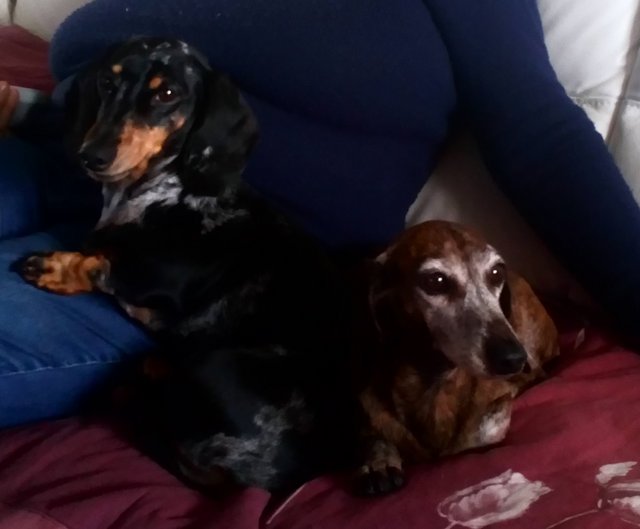 [Image: 20210110-134214.jpg]