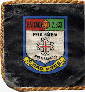 CCac2309
