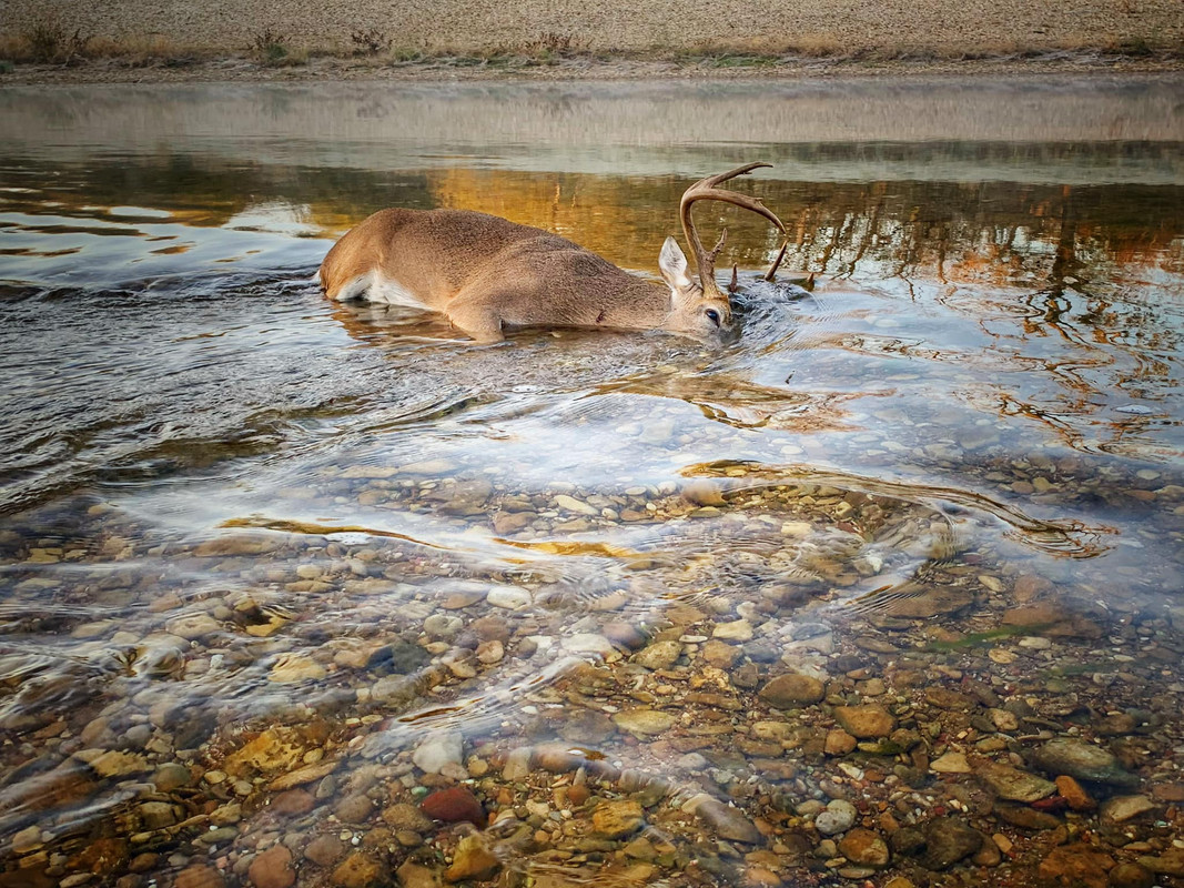 316424174_10159488858588406_9186192601145313485_n