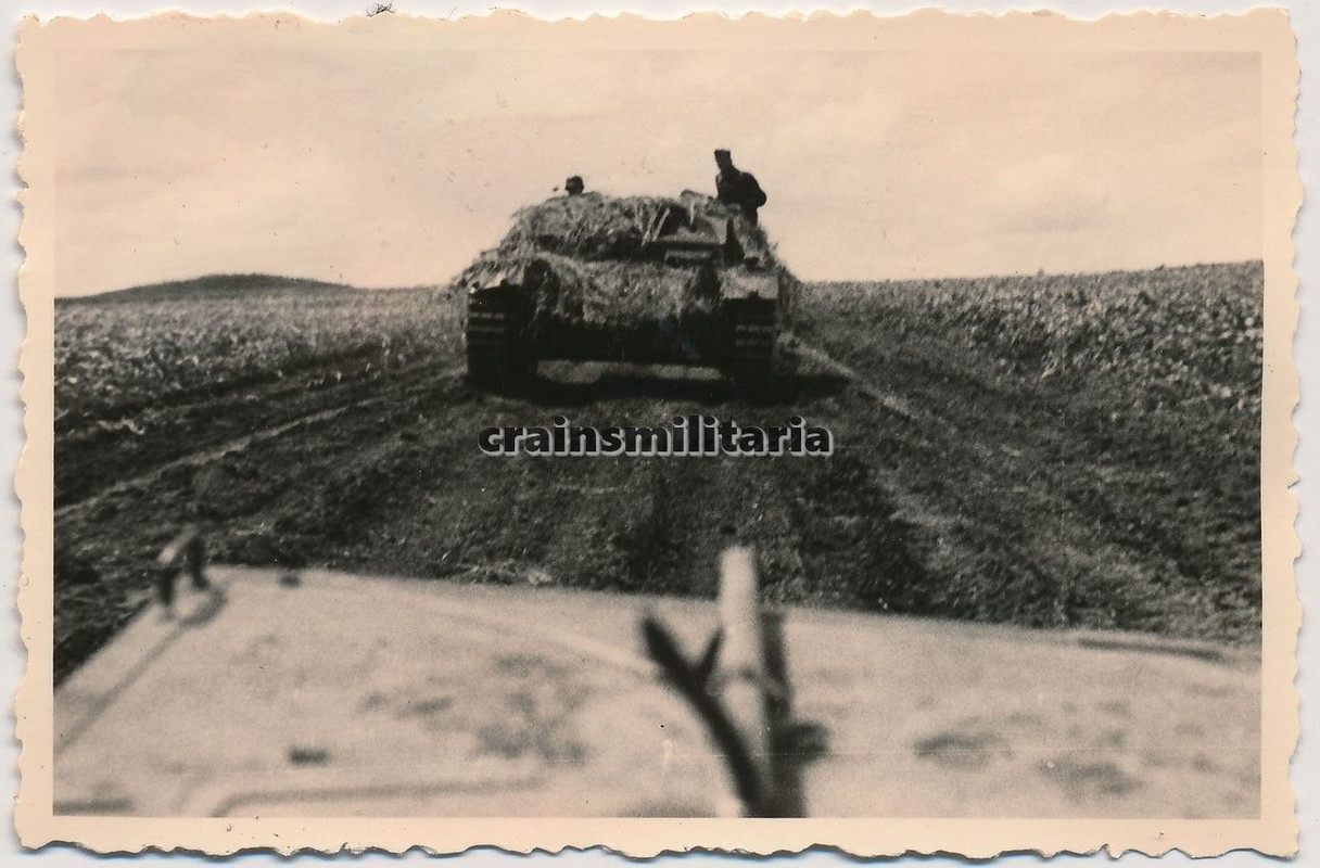 Orig. Foto Vormarsch StuG III Sturmgeschütz Panz