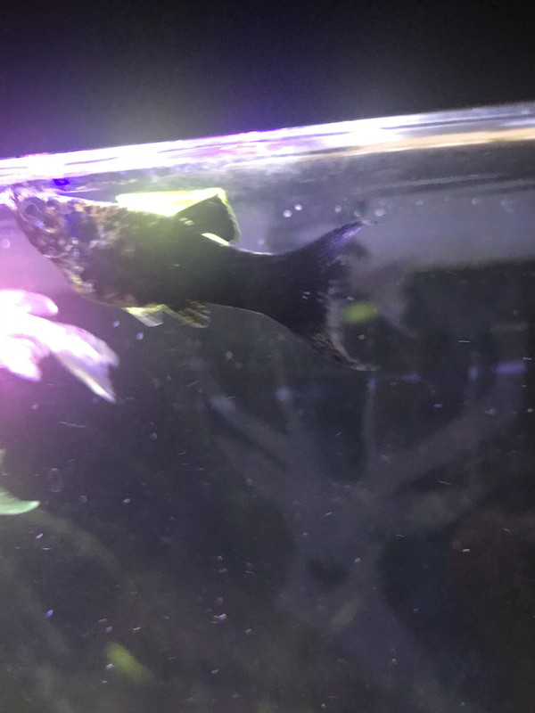 563C61B9-9B22-4FE9-B831-69DEF1E88110