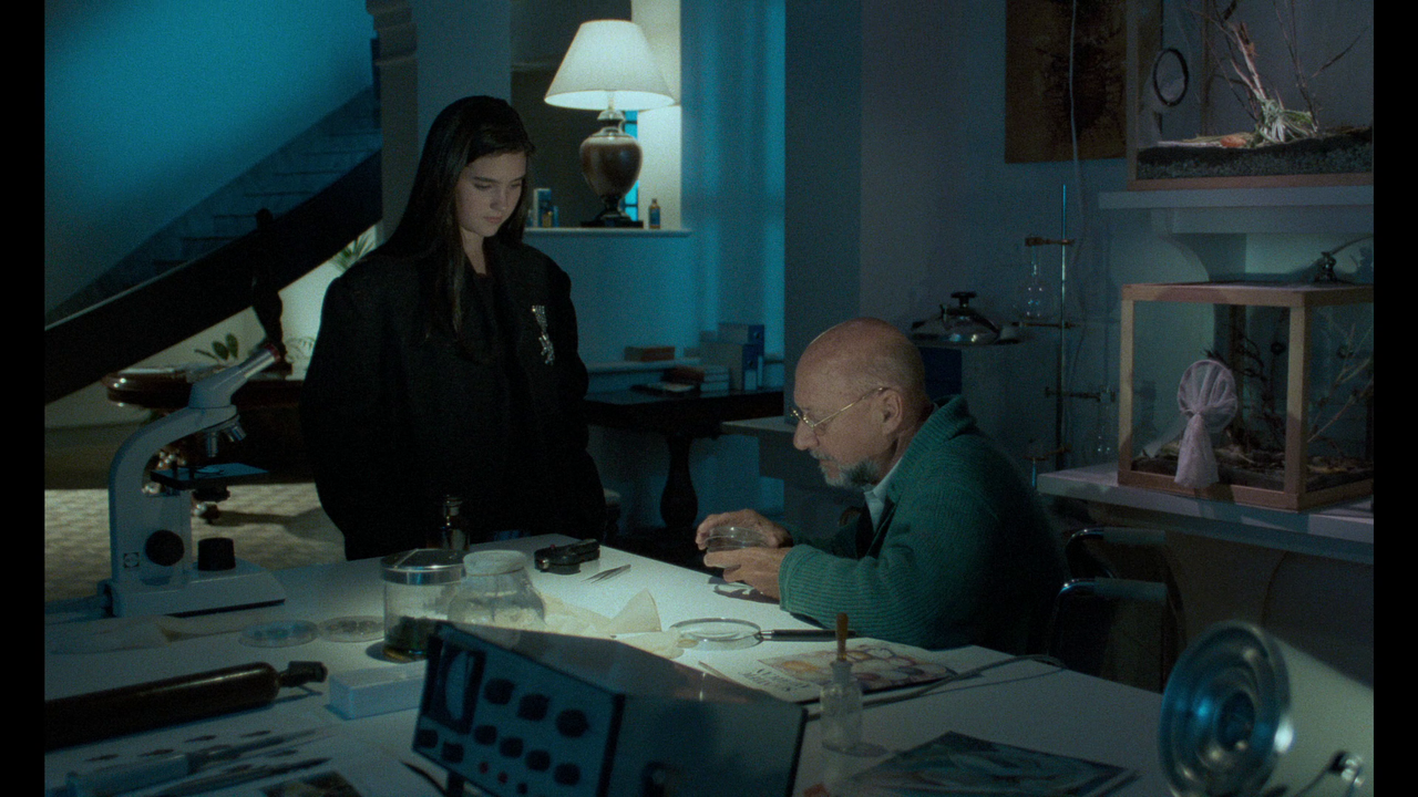 vlcsnap-2023-06-26-20h40m57s473