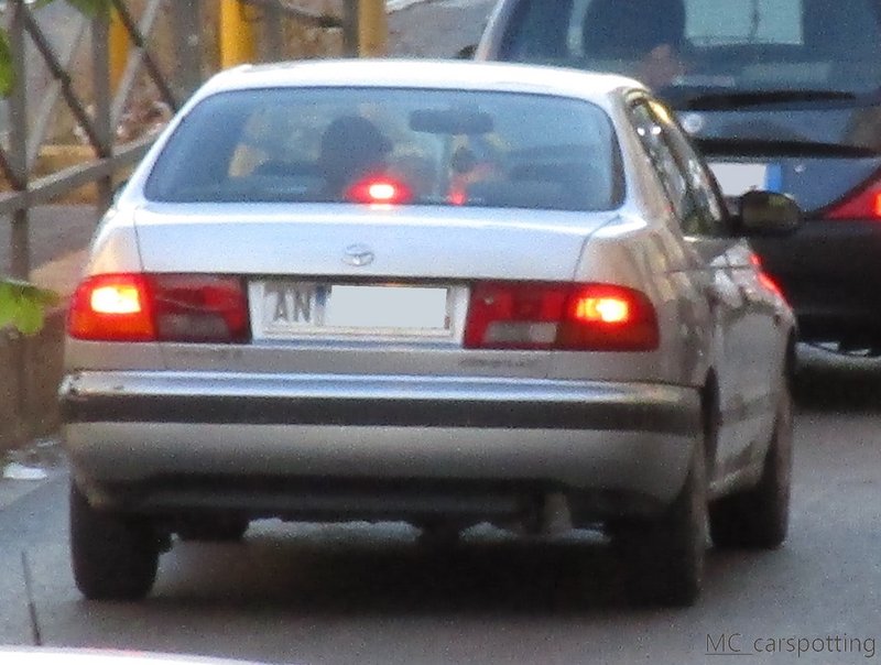 IMG-4254.jpg