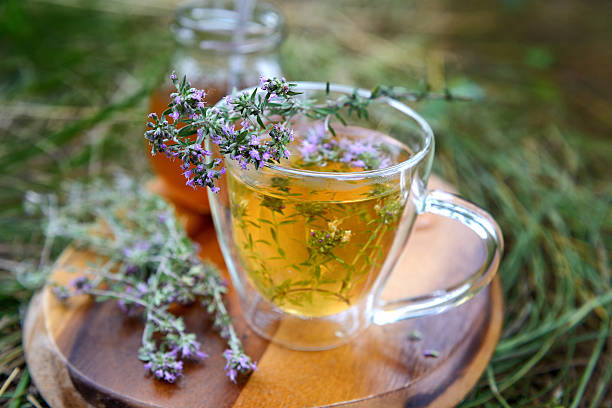 echinacea tea in Spanish