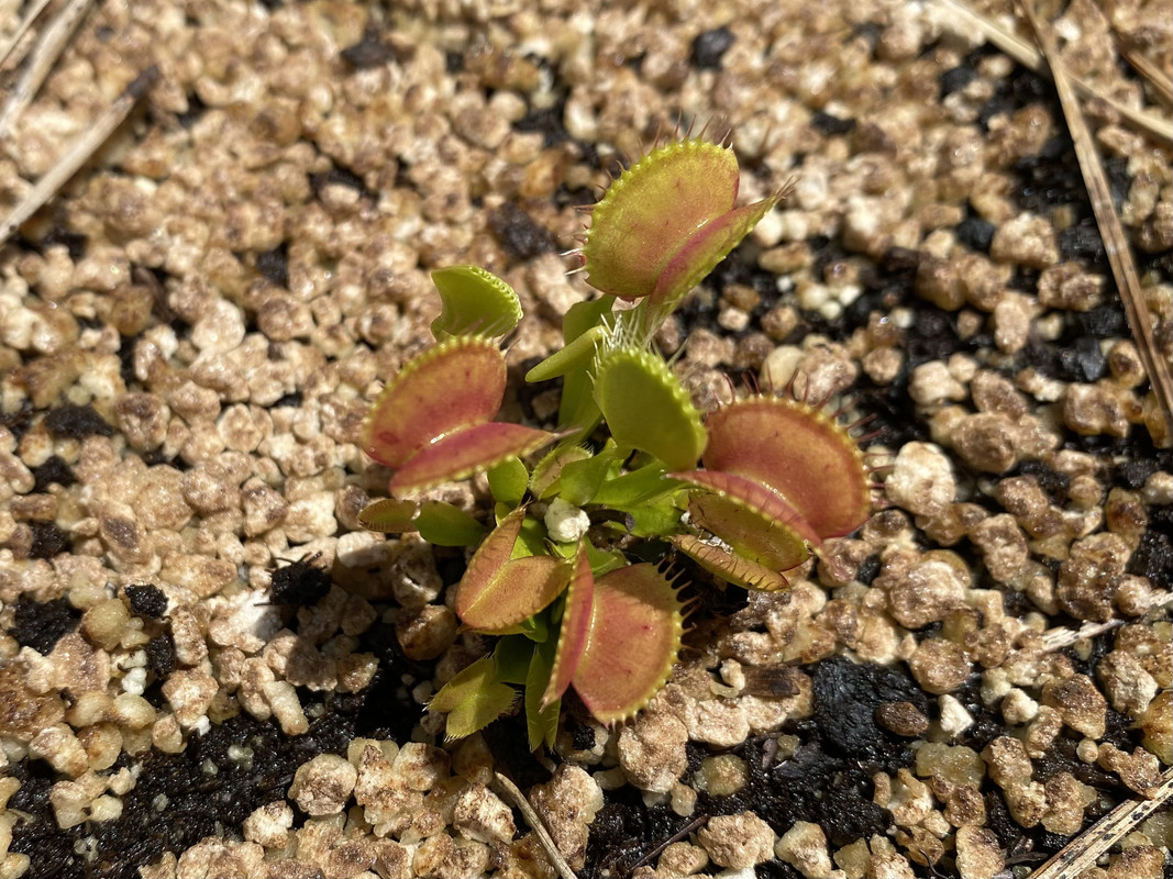 7090FB34-9702-4414-A898-CAAB6E6E1392