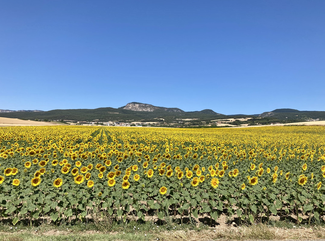 ADE5EDBF-79B8-4F4C-BBF3-18ACCD64CD8E