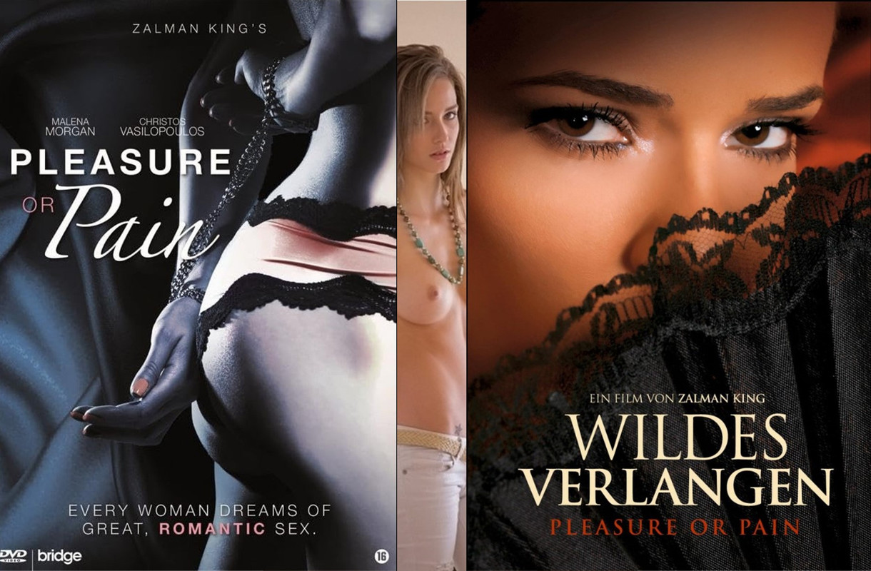 Pleasure and Pain (2013) cover1