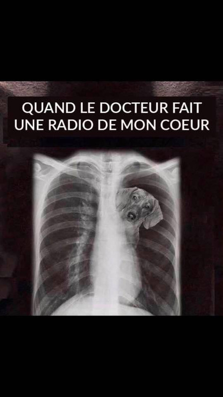 [Image: 1-BA525-D2-D868-4107-8321-5-F4893-A06-B9-B.jpg]