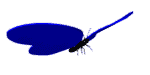 artblue.gif