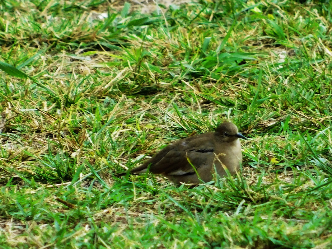 DSCN0509.jpg