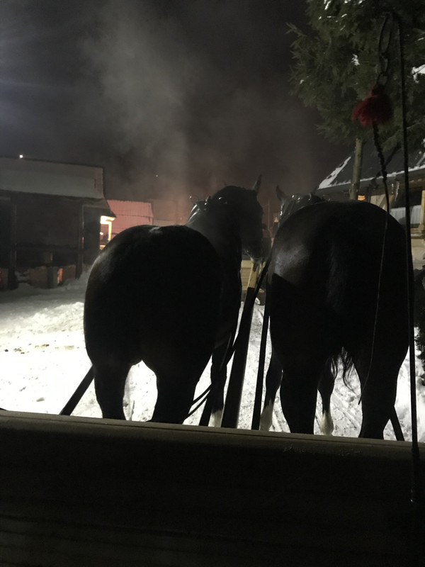 C628BB3A-E7D3-4B60-913C-4F118B3EEE8C