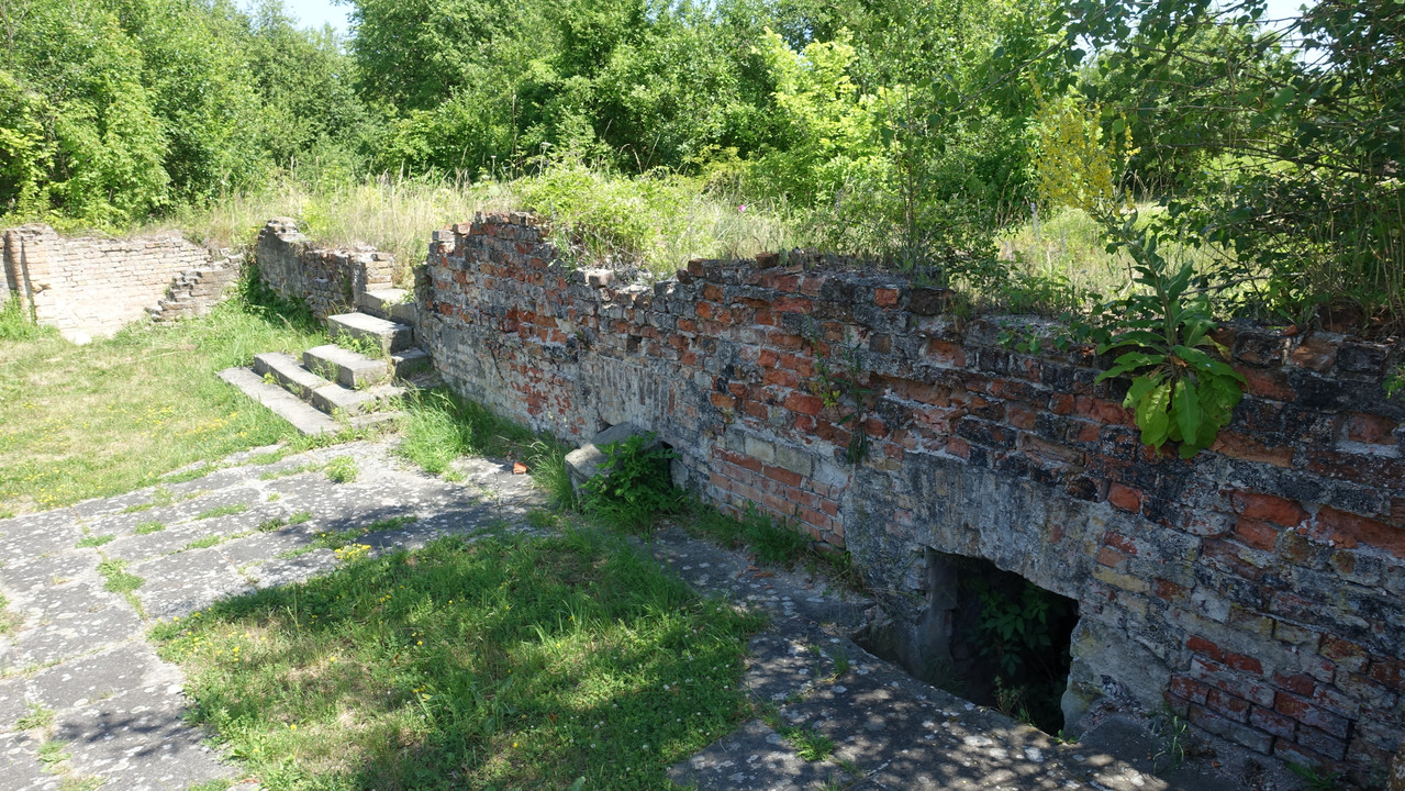 13 29 DSC03337 (Barabasz)