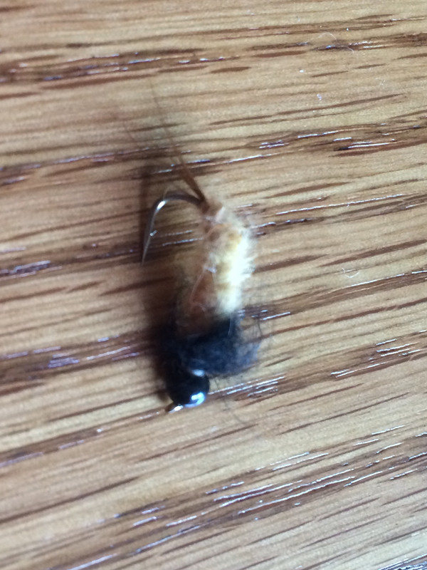 B792EF1E-719B-44FF-A938-D79EDA6B883A