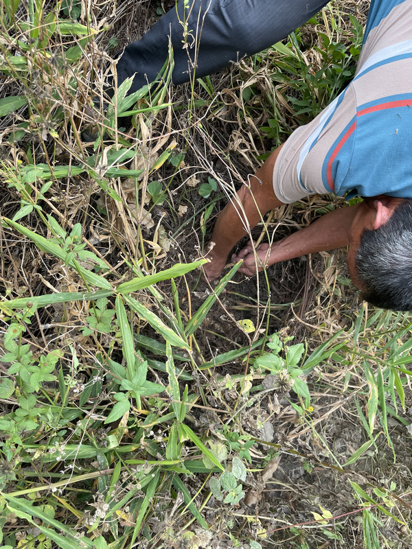 微信图片_20241111222655