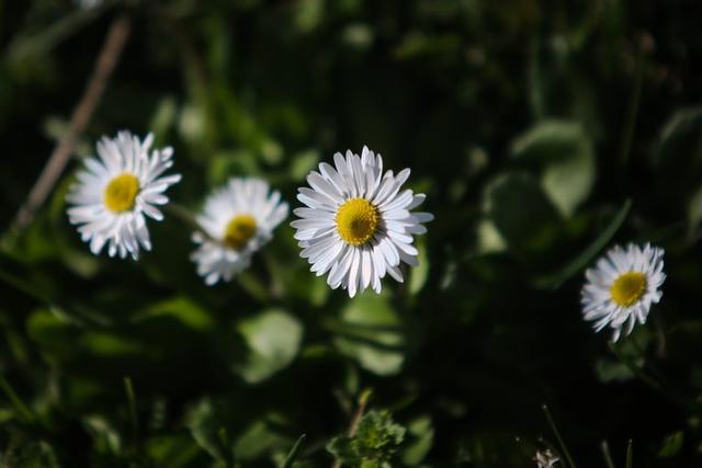 [Image: 6867797-768x512.jpg]