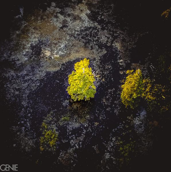 Aerial view of the Chipola River region