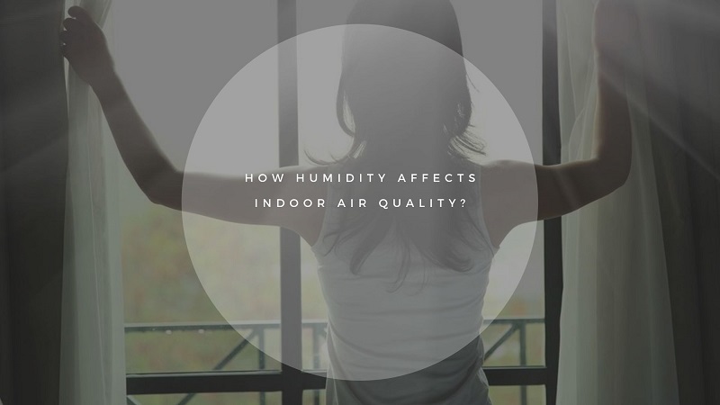 Humidity Affects Indoor Air Quality