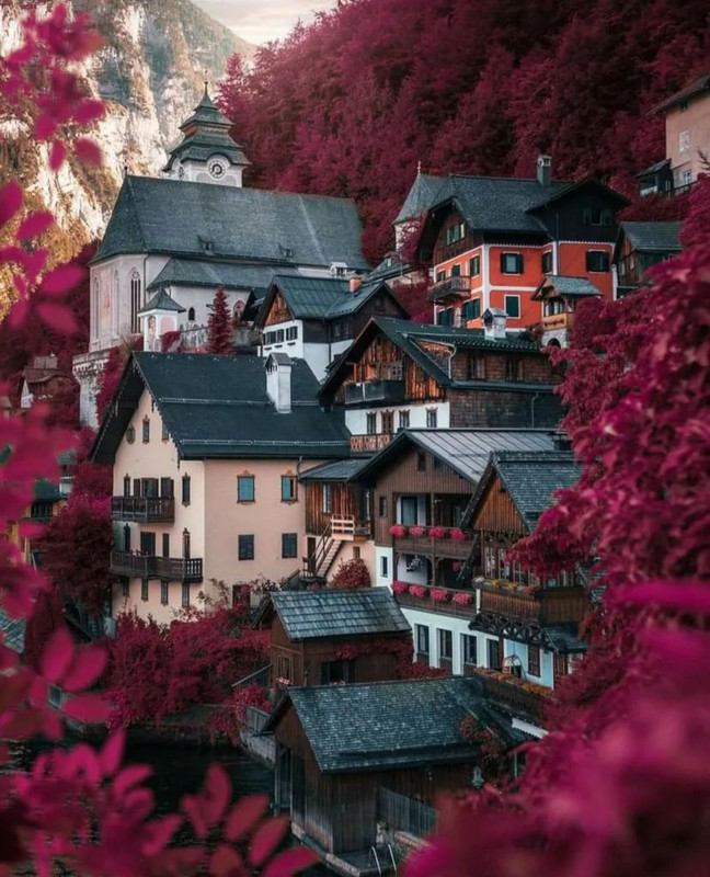 Screenshot_20240419_230135_Threads