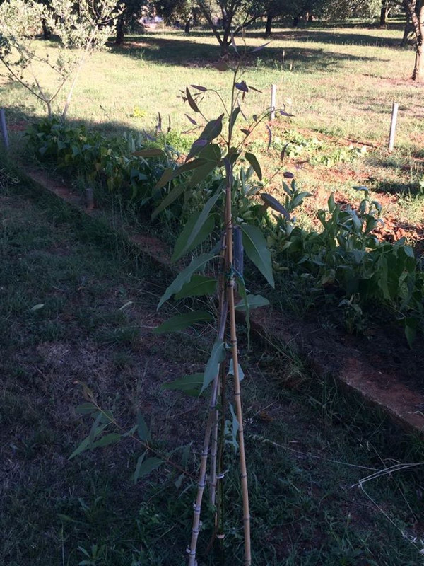 34885616_10215399781888788_8708921872047144960_n