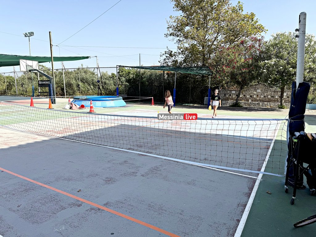 "pickball-IMG-96</p