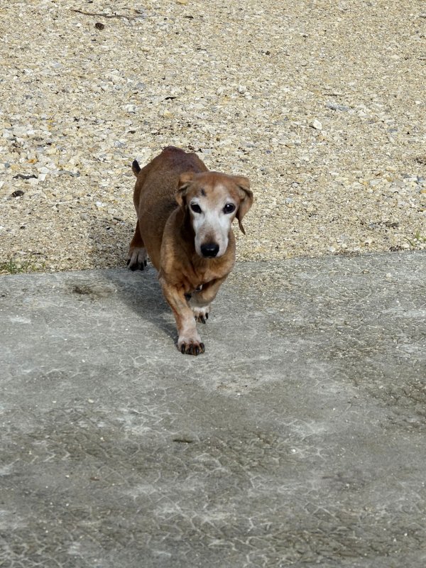 [Image: DSC01328.jpg]