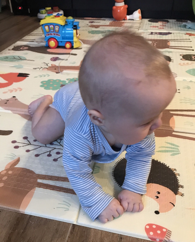 E53A8F73-EB99-40E3-AA45-BB0903145DBF