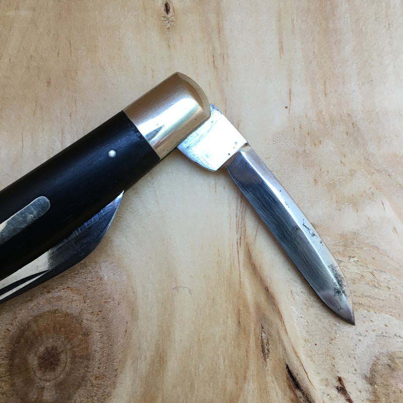 A1E78A2B-2C38-4712-A56D-66C1F1731C38