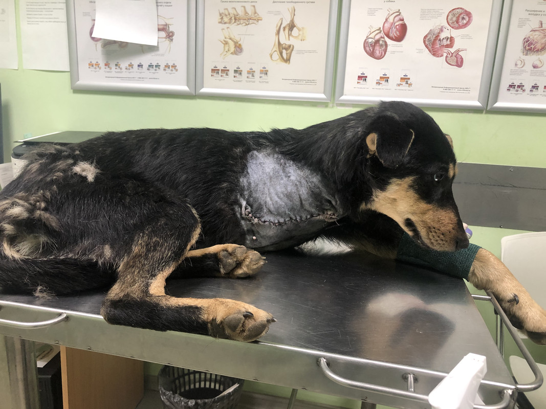 23B21F36-1378-41A4-BB62-F23A08B7287B