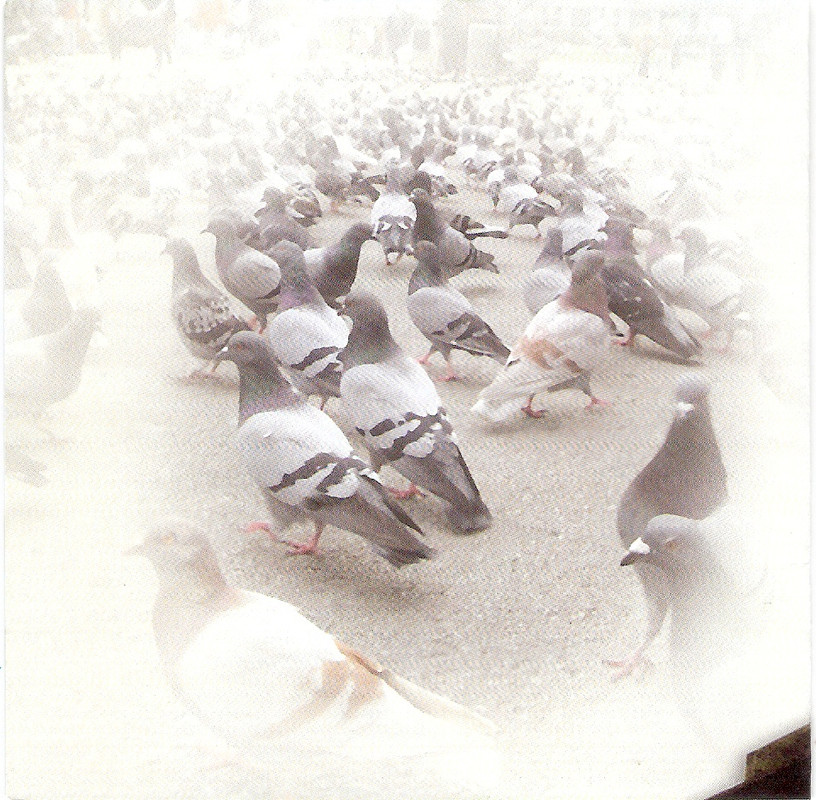 сканирование0006