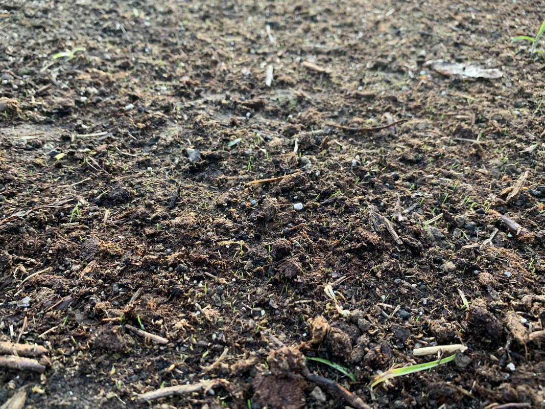 6E3354F8-BBA5-4A99-8174-76A00A93B422