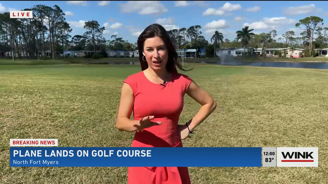02.02 - 17.00.00 - The WINK Noon News  ᴺᵉʷ. Midday news update..ts_snapshot_06.43.712
