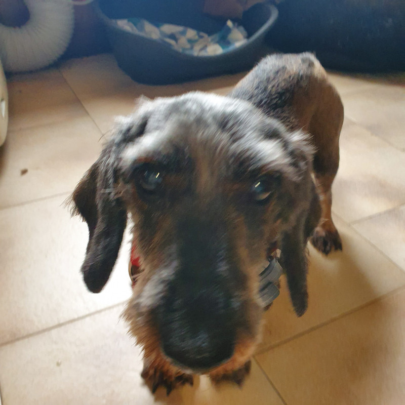 [Image: 20210618-084128.jpg]