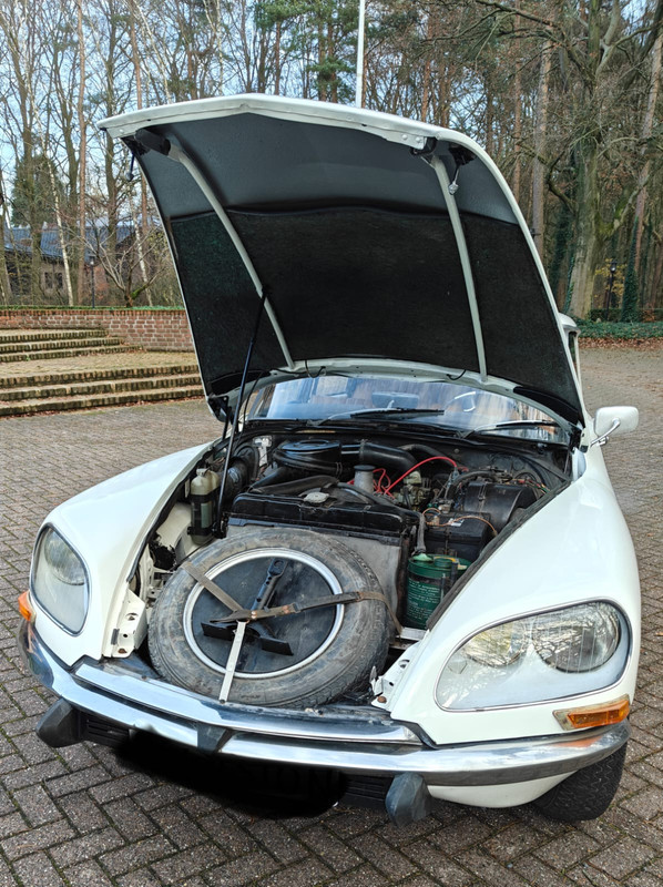 38150A65 5143 4409 8A19 756EBFB55B71