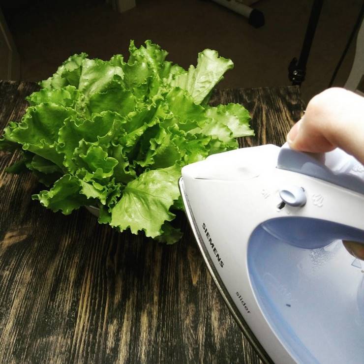 17 гениальных фотосоветов от тех, кто знает толк в экономии