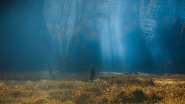https://i.postimg.cc/KzYQpRXF/mysteries-yosemite-javarisjohnson-h.jpg
