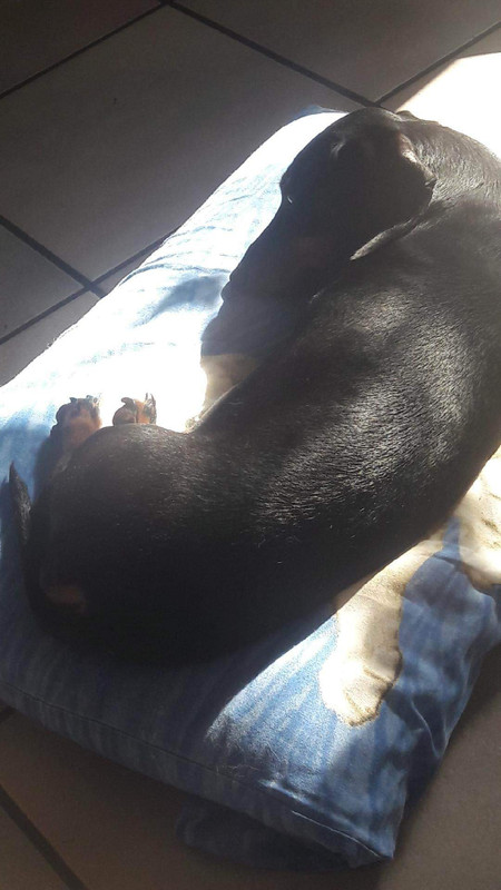 [Image: received-2337629563084092.jpg]