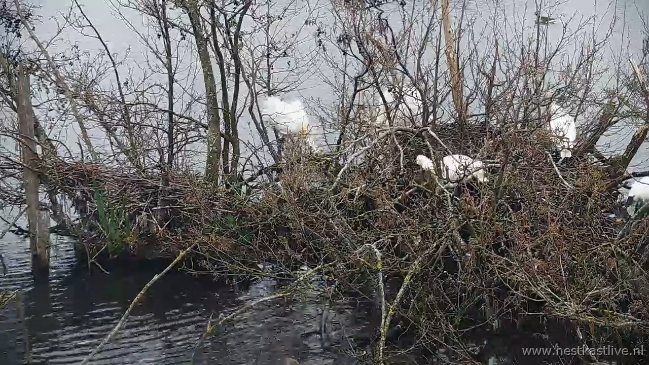 snapshot 2026 04 02T090439 876