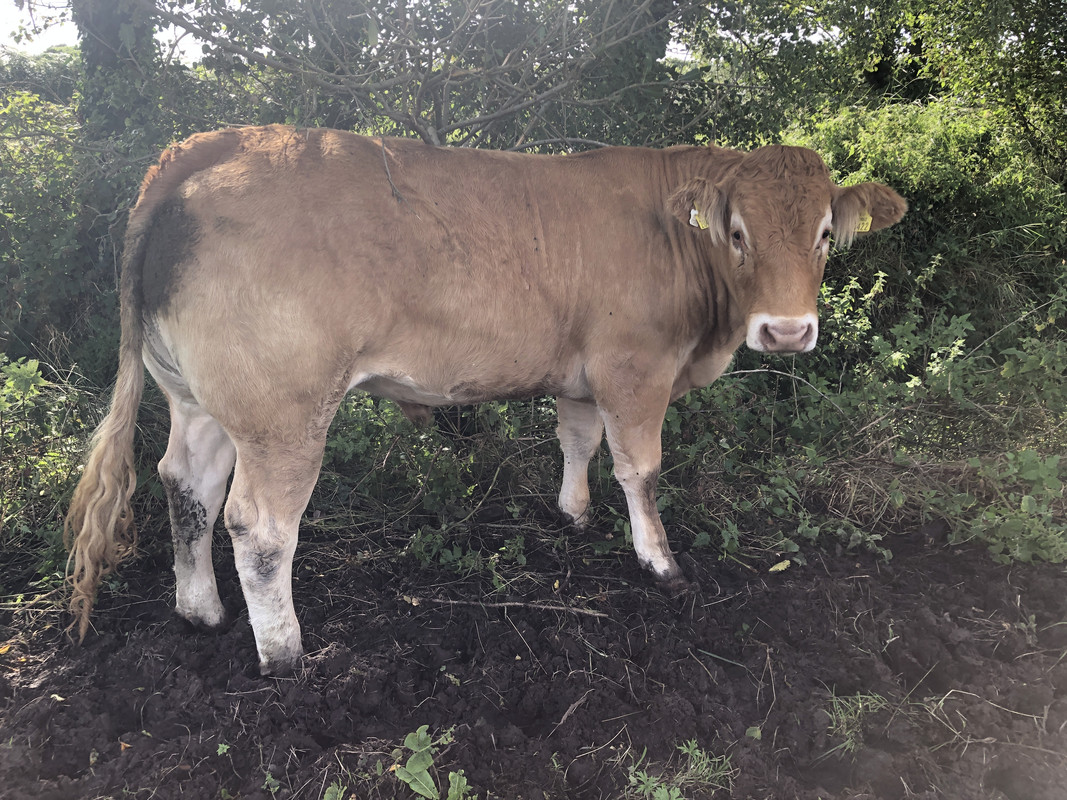 ECC32B56-CE60-465E-8634-E13EC9BEBE07