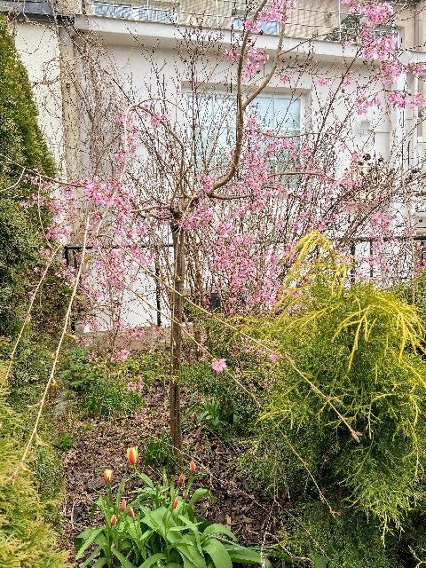 33-E0-CF9-A-575-E-4-FE8-927-C-5-E82-B344