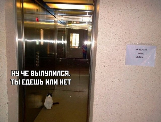 17216371.jpg