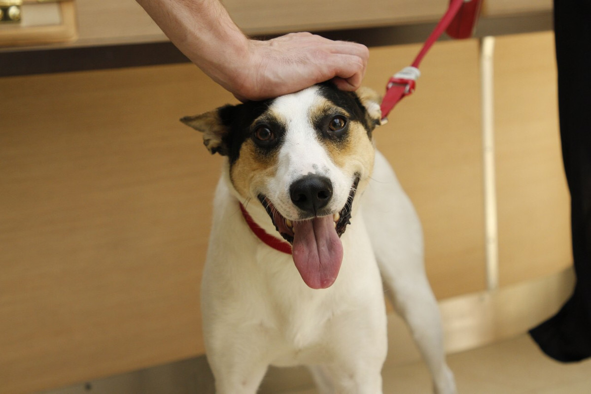 6C6F72A3-D2C5-4144-875C-2C36B461C016