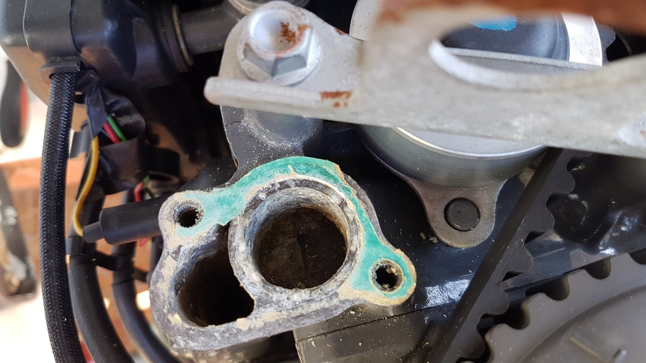 20210319_154825 (Medium)