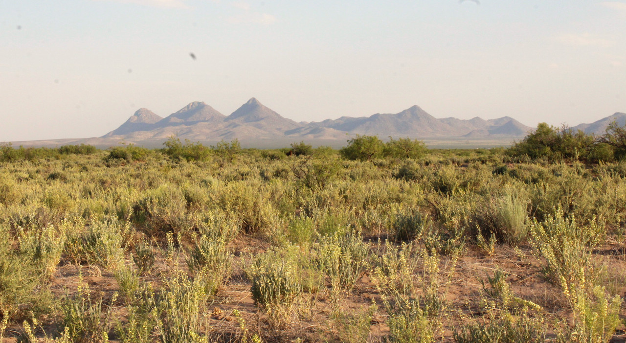 Unlock the Beauty of 1.5 Acres in El Dorado Estates, Deming, NM - Your Gateway to Tranquil Living!