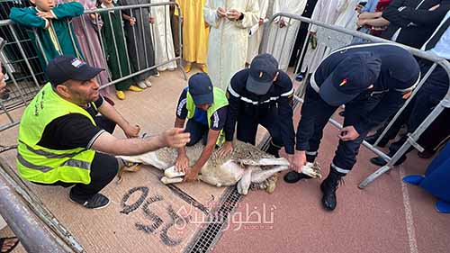 2024-06-17-09-04-IMG-3710