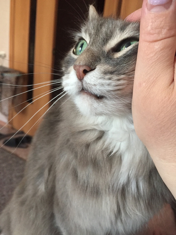 40B8D3F3-C7EB-4DD0-AB7A-AF57F609DB90